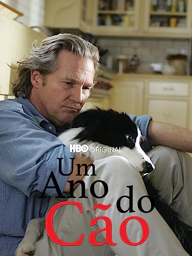 Um Ano do Cão